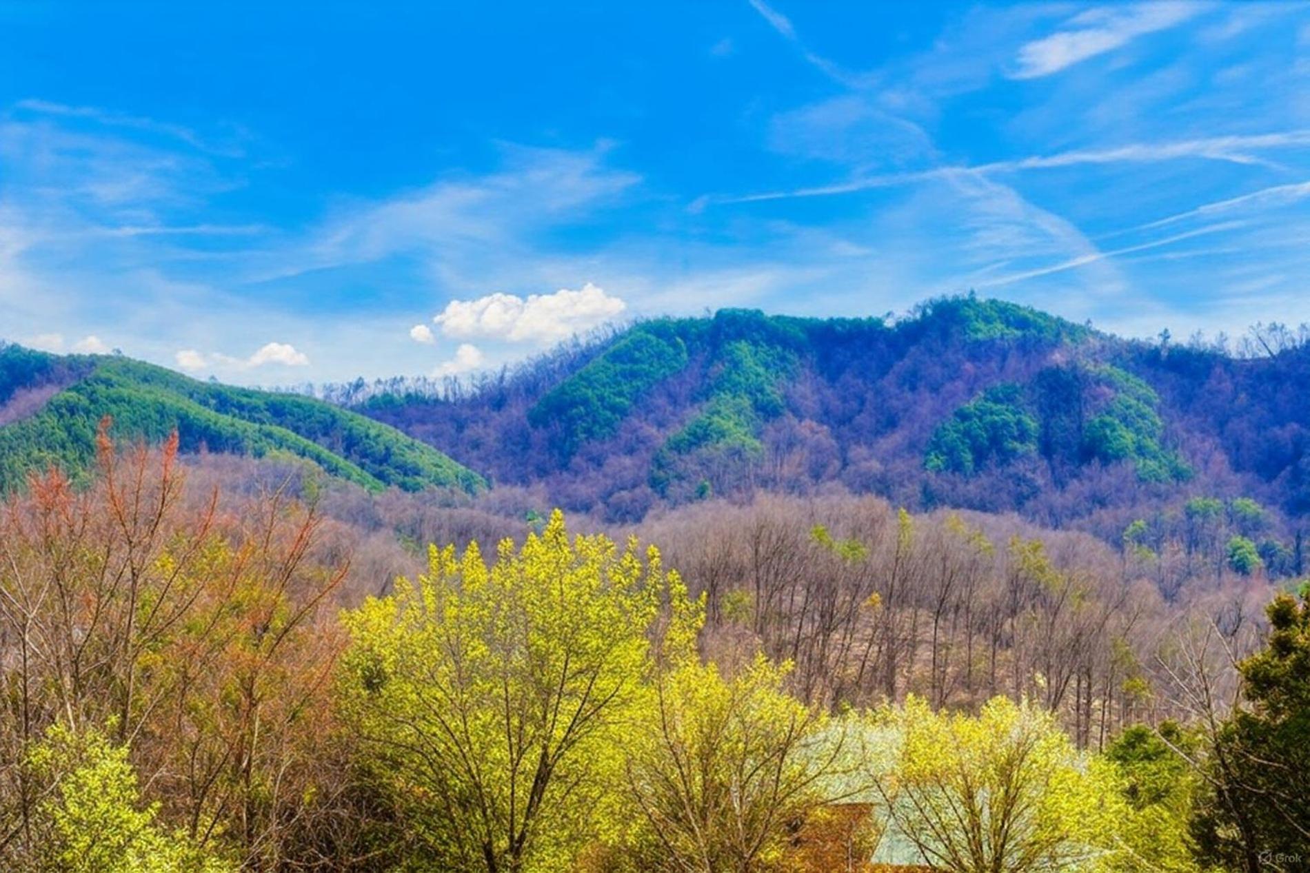 Smoky Bear Lodge With Guest House, Hot Tub, 1089 Free Tickets Each Paid Day, Dollywood And More 세비어빌 외부 사진